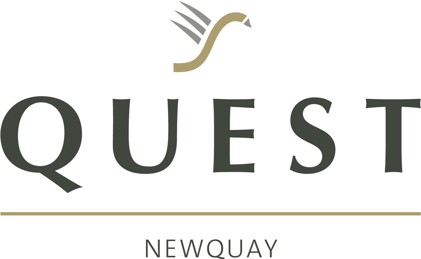 Quest NewQuay